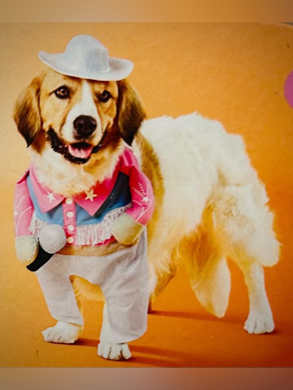 NWT Boots & Barkley Target Western Shirt Cowboy Hat Halloween Dog Costume Sz M